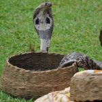 Reisemedizinische Beratung beim Kinderarzt